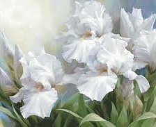 Схема вышивки «Ирис»