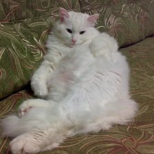 Схема вышивки «Федя»