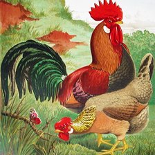 Схема вышивки «Петушок и курочка»