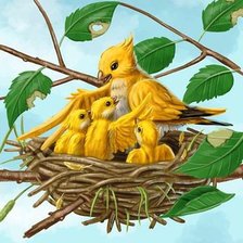 Схема вышивки «Гнёздышко»