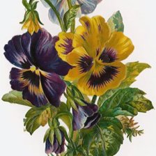 Схема вышивки «№211220»