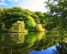 Схема вышивки «пейзаж»