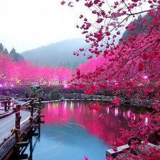 Схема вышивки «пейзаж»