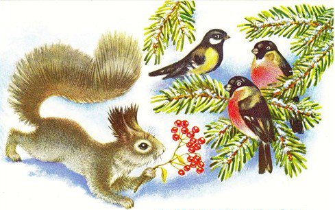 Белочка и птички - белочка, рябина, животные, снегири, белки, птицы, птички, синичк - оригинал