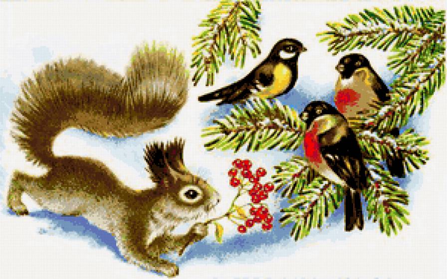 Белочка и птички - белочка, птицы, животные, птички, снегири, рябина, белки, синичк - предпросмотр
