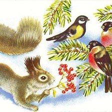 Схема вышивки «Белочка и птички»