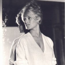 Схема вышивки «Бриджит Бардо»