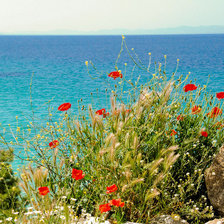 Схема вышивки «берег моря»