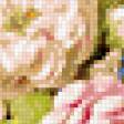Предпросмотр схемы вышивки «натюрморт» (№211823)