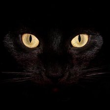 Схема вышивки «кошачий взгляд»