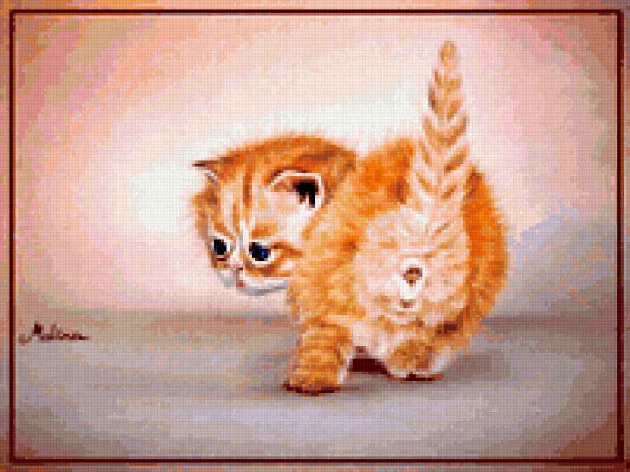 котенок - котенок, рыжий, домашние животные - предпросмотр