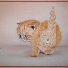 Схема вышивки «котенок»