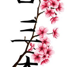 Схема вышивки «сакура»