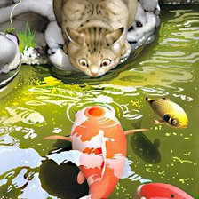 Схема вышивки «кот рыбак»