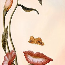 девушка со смыслом