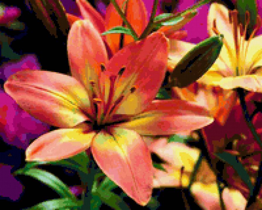 67543 - роза, цветы, цветок, букет, розы - предпросмотр