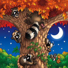 Схема вышивки «еноты»