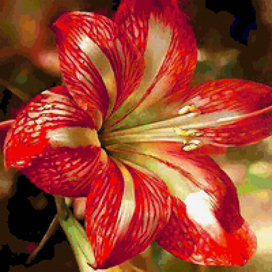 87650876 - роза, цветок, букет, цветы, розы - предпросмотр