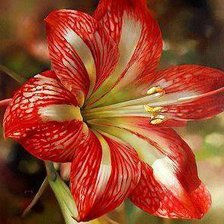 Схема вышивки «87650876»