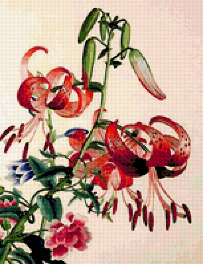 7860 - лилейник, флора, лилия, лепестки, цветы, растения - предпросмотр