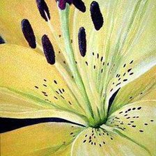 Схема вышивки «786987»