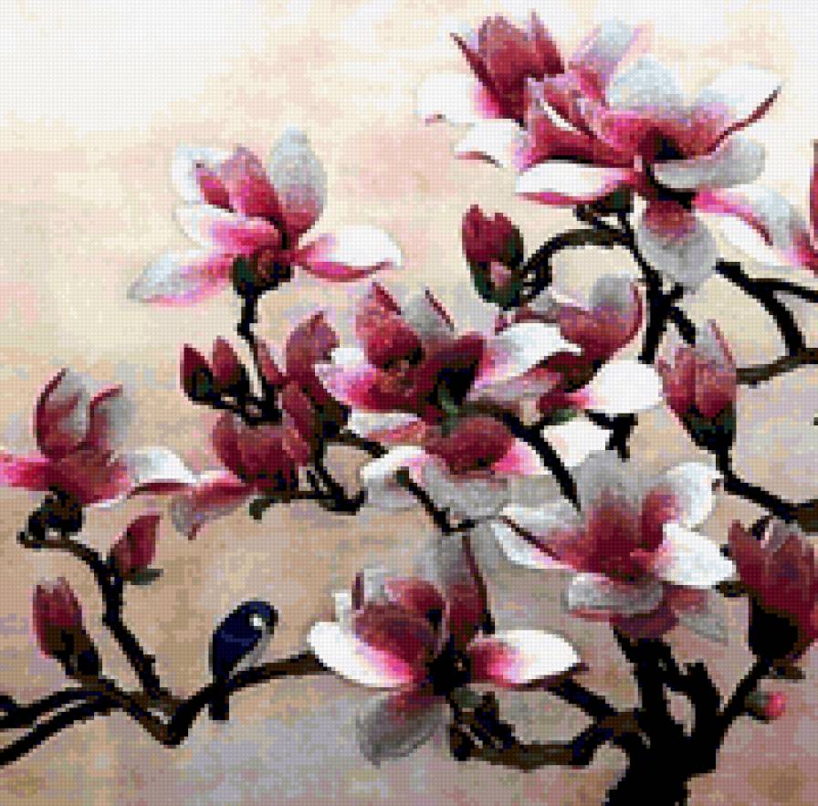 67965 - цветение, цветок, ветка, куст, сакура, цветы - предпросмотр