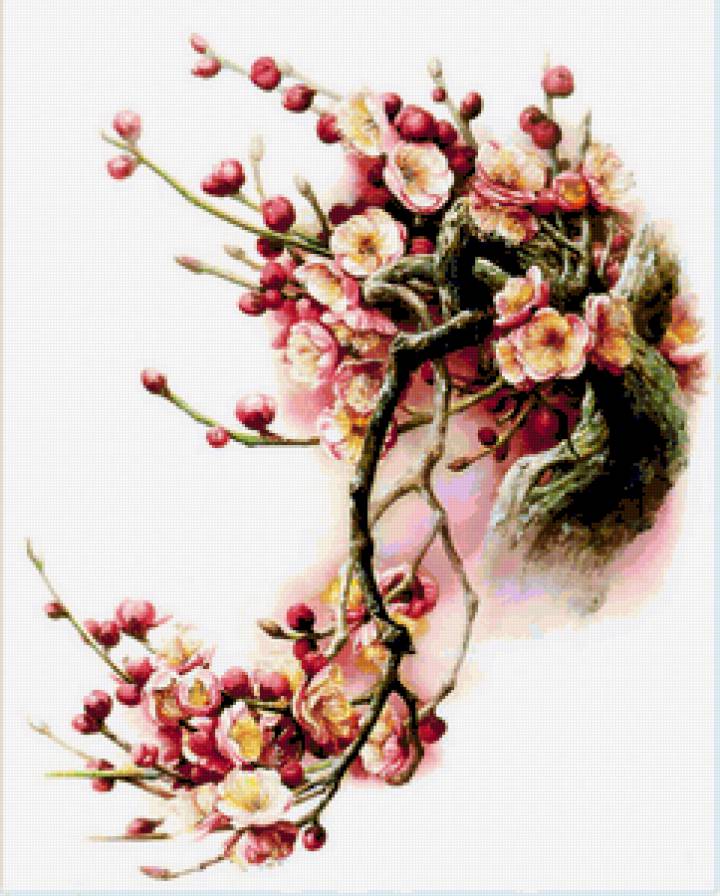 7687 - розы, цветы, цветок, букет, цветение, ветка, сакура, роза - предпросмотр