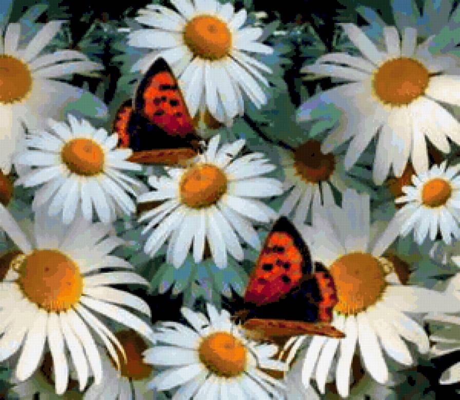 878575 - бабочки, розы, цветы, цветок, ромашки, букет, роза, бабочка - предпросмотр