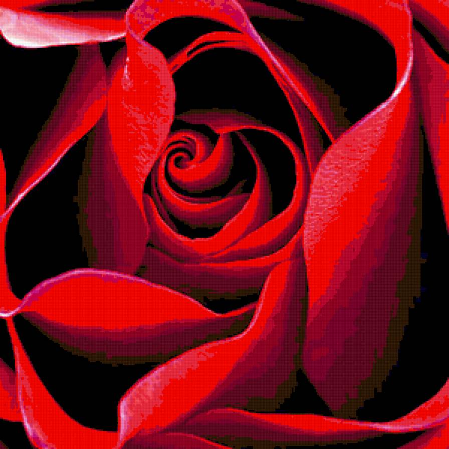 786897 - цветы, букет, розы, цветок, роза - предпросмотр