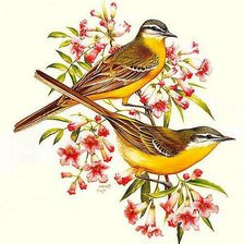 Схема вышивки «7808»