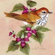 Схема вышивки «679035»