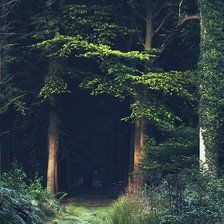 Схема вышивки «№212466»