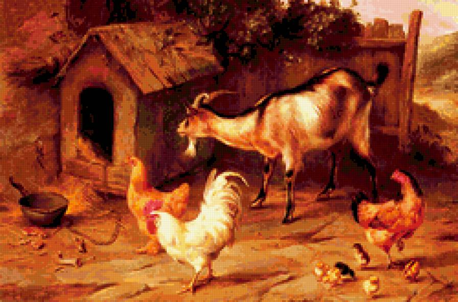 козы - козы, коза, куры - предпросмотр