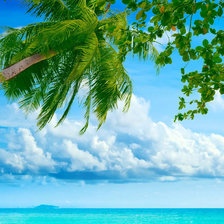 Схема вышивки «тропики»