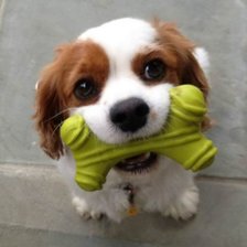 Схема вышивки «№212569»