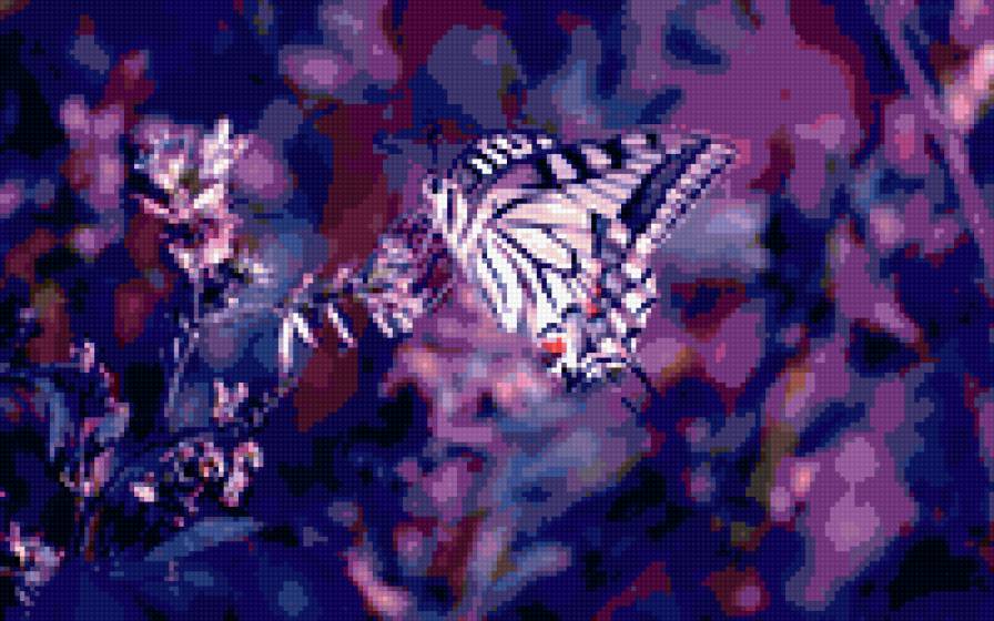 фиолетовая бабочка - предпросмотр