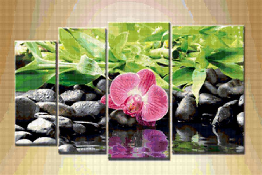 ПОЛИПТИХ  "ЦВЕТОК И КАМЕНЬ" - орхидея, берег, камень, полиптих, вода, цветок, природа - предпросмотр