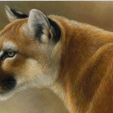 Схема вышивки «рысь»