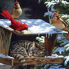 Схема вышивки «Кошачьи сны»