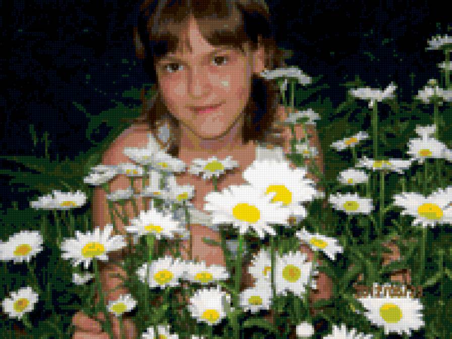 ромахи - предпросмотр