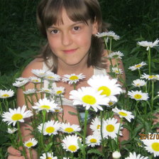 Схема вышивки «ромахи»