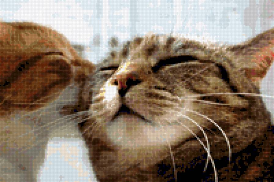 любовь - предпросмотр