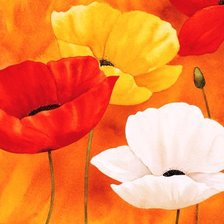 Схема вышивки «МАКИ»