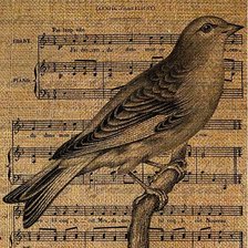 Схема вышивки «птица»