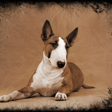 Схема вышивки «булька»