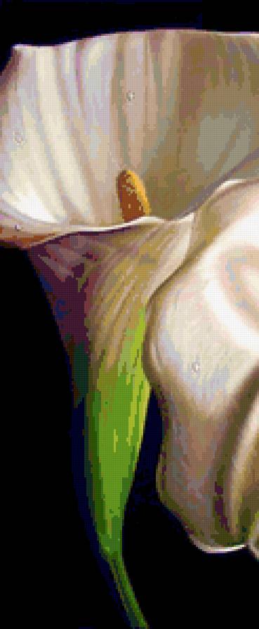 Каллы 3 - триптих, калла, диптих, каллы, цветы, полиптих - предпросмотр