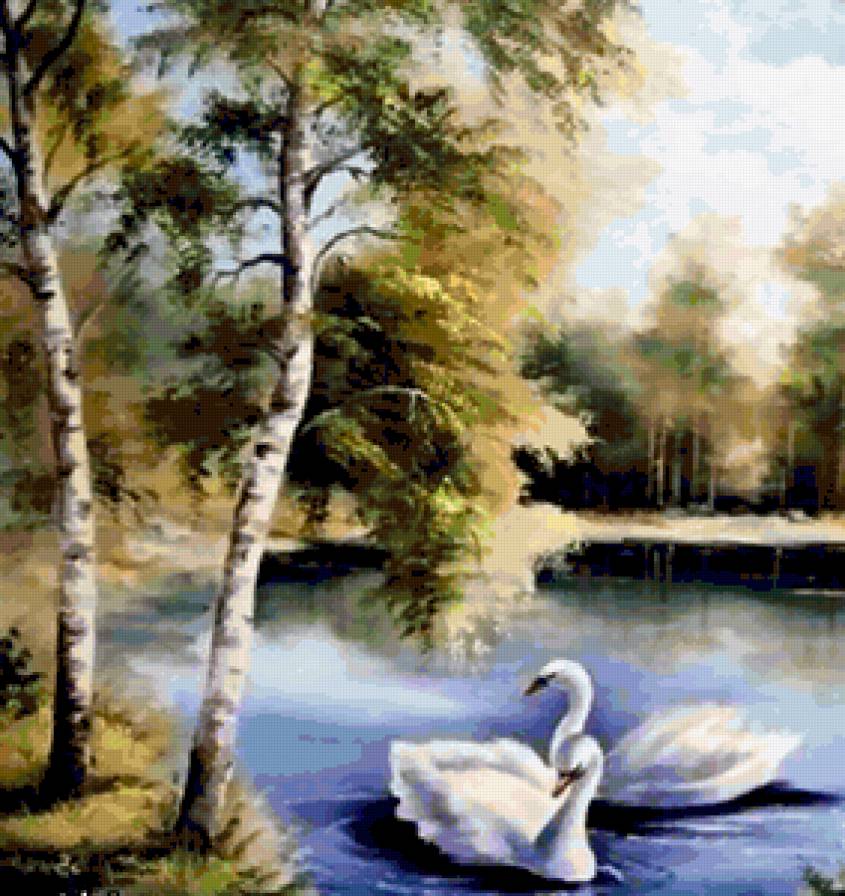 869864 - березки, березовая, лето, пейзаж, природа, роща, вода, река, озеро, пруд - предпросмотр