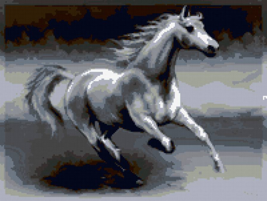 скакун - конь, лошадь, галоп - предпросмотр