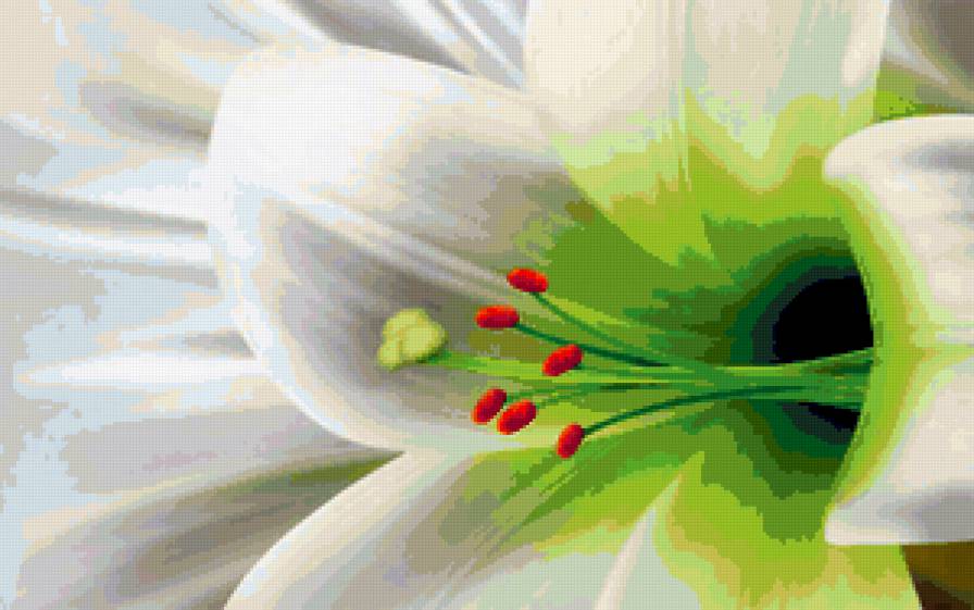 лилия - букет, розы, лилия, цветы, цветок, флора - предпросмотр