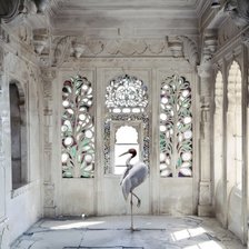 Схема вышивки «Журавль»